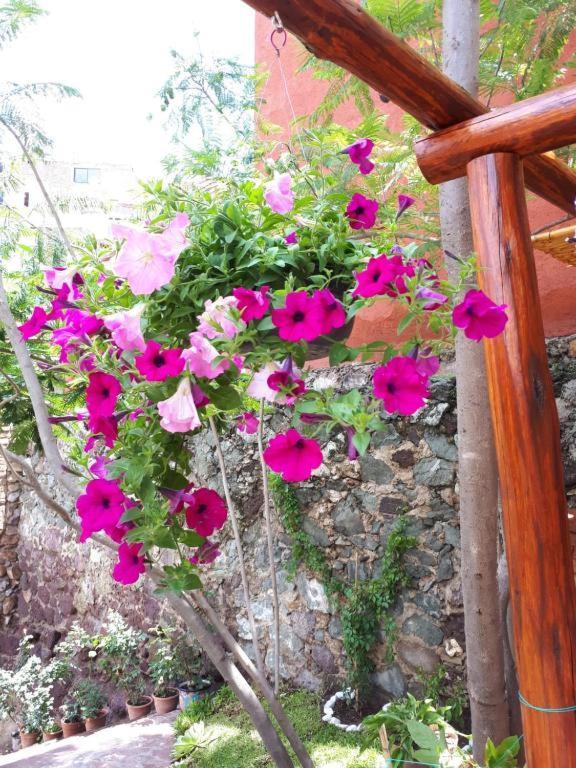 Casita Privada Del Chan กัวนาฮัวโต ภายนอก รูปภาพ